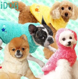 わんちゃん服画像